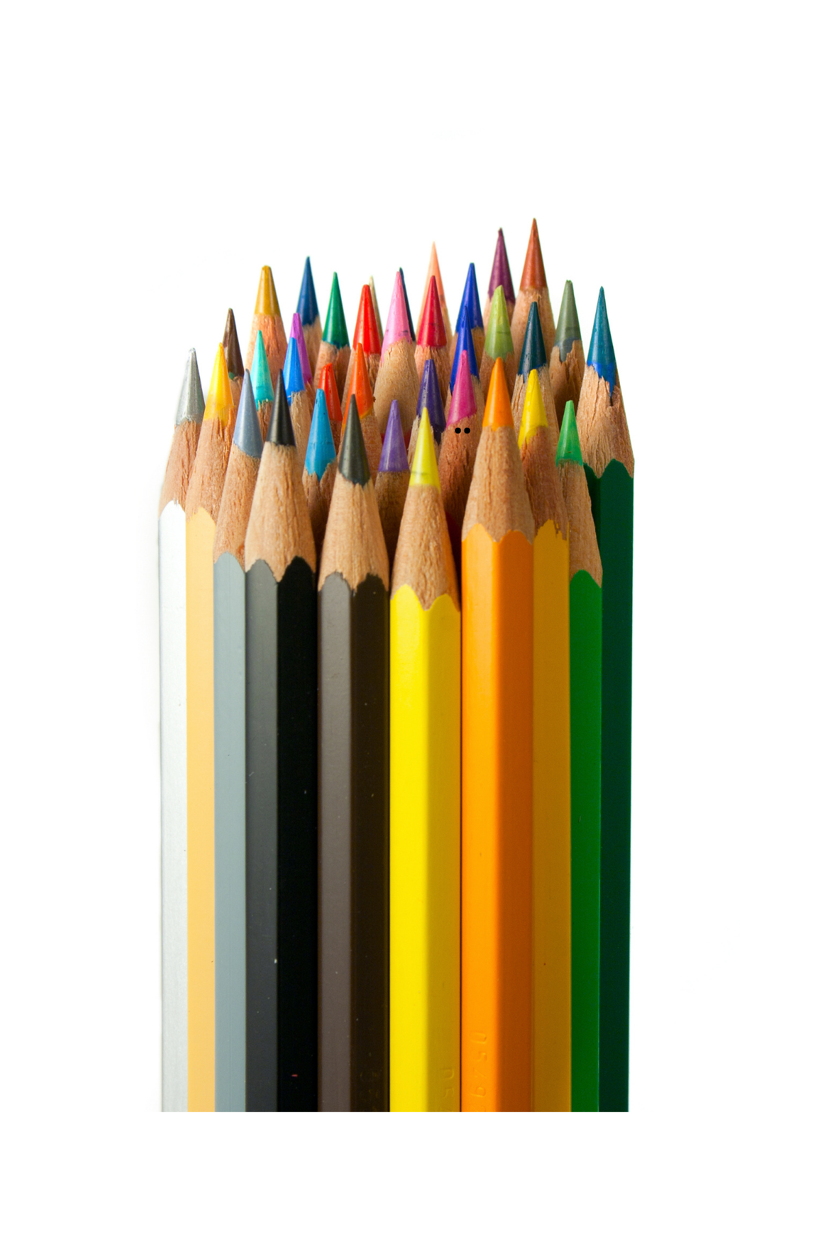 Evolution Kurşun Kalem 12’li